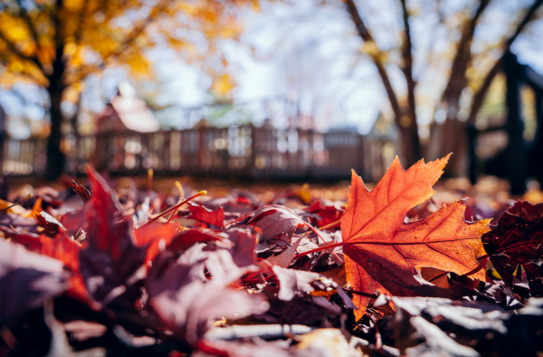 Falling for Camden – Autumn at CAMDEN Playground