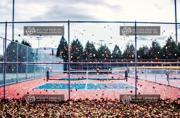 Autumn Serve – Fall Leaves at Palmer Park