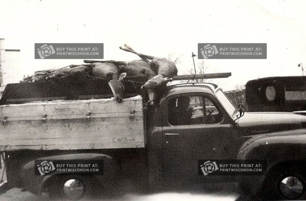 Vintage Wisconsin Deer Hunting Photo – 1950s Ford Truck Plexiglass Print